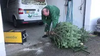 Juletr&aelig; og Easyfix