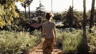 Moment Films: &ldquo;WESLEY&rdquo; | a film by Elizabeth Weinberg shot on iPhone + Moment