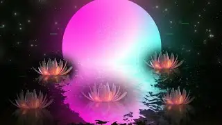 Calming 432Hz Music | Alpha Waves for Brain Healing & Deep Relaxation