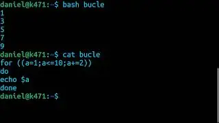 bash script - for loop