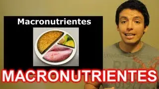 Macronutrientes - Que son? Como calcularlos? Porque son tan importantes? Estudio a fondo