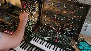 Ear-Drum (tympanic membrain): Moog-32, Moog DFAM, Moog Subharmonicon, Behringer 2600