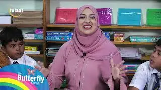 The Butterfly corner EP10 Douglas Road Primary P2