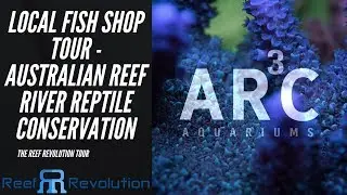 ARC Aquariums - Sydney LFS Tour