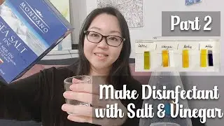 How to save money by DIY Non toxic disinfectant with salt and vinegar??