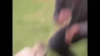Aggressiver hund