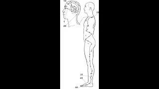 Tuina Techniques - Gallbladder Massage