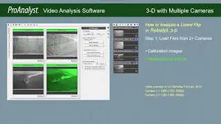 ProAnalyst 3-D Analysis Reel