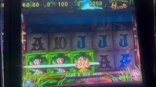 Slot da bar Robin Hood partita tosta 🏹🏹🔞 archery bonus bet 2 euro max Win 100 euro 2025