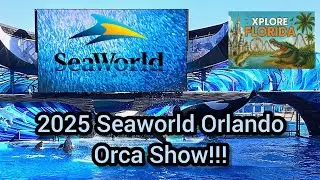 Шоу косаток SeaWorld Orlando 2025 в формате 4K | Полное выступление косаток!