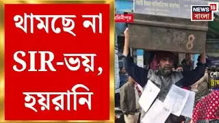 West Bengal SIR News | হয়রানি আর থামছে না, SIR শুনানিতে চাঞ্চল্য | Bangla News
