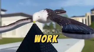 moment in a balance bird