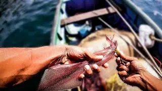 squid fishing on inshore reef | fishing in goa | India 2021