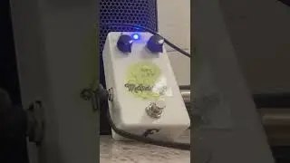 Freakshow Effects Maharishi sitar-fuzz pedal+Chase Bliss Audio Habit delay+Agile guitar