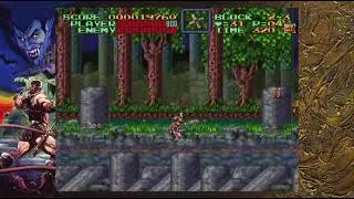 Super Castlevania IV No Death Run