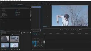 Resize Video in Adobe Premiere Without Losing Quality