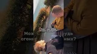 Полное видео по Твери на канале! ✅ #путешествия #путешествие #тверь #travel #кудапоехать #поездка