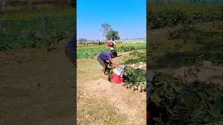#какприготовитьпастусбелымсоусом #комедийныефильмы #смешно