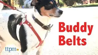 Buddy Belt Classic Leather Dog Harness from Buddy Belts