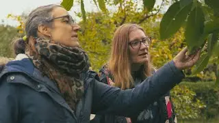 Working Together Project - Embedding Creative Health in Museum Practice