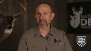 When To Hunt