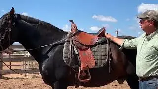 Brio Horsemanship DP adjustable saddle Testing & riding impressions