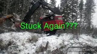Laugh With Me, Logging Action, Crazy Trees and Stuck!!!