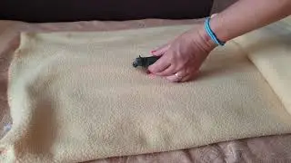 INSTANT MINI HIPPO [4k]