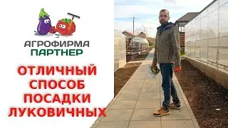 ОТЛИЧНЫЙ СПОСОБ ПОСАДКИ ЛУКОВИЧНЫХ