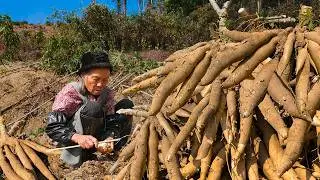 木薯怎麼做才好吃？阿婆挖了一整車，製作各種美食Grandma cooks delicious food with 100 pounds of cassava #木薯｜ 玉林阿婆