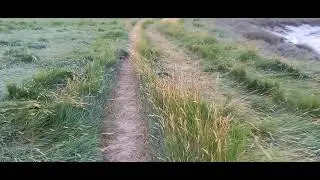 04/09/2021-National Cycle Rte Weston Super Mare Uphill Bs23 HD 4k Video 📹