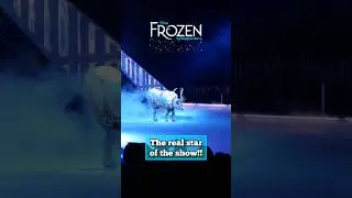 Frozen on Ice | Sven is the Star of the Show!
