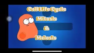 Cell Life Cycle Explained MITOSIS & MEIOSIS (for a grade in my biology class)