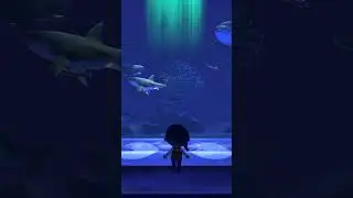 #acnh beautiful aquarium view #animalcrossing #aquarium