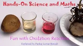Fun with Oxidation Reaction | Kannada