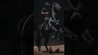 Black Horse Ki Speed Aur Stunt Ne Sabko Hairaan Kar Diya 🐎🔥Black Horse Attitude 🔥 | Horse Stunt
