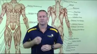 Differences between the Cert 3 and 4 in Fitness.
