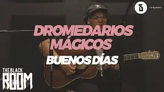 The Black Room: Dromedarios Mágicos – 
