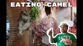 EATING CAMEL MEAT  - Fes, Morocco - Street food in Morocco #camel #morocco #fes