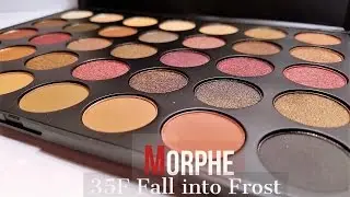 Dark Chocolately Mocha Smokey Shimmer Morphe 35F Fall Into Frost Palette