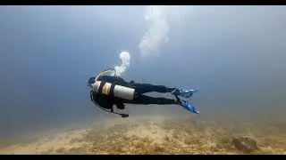 SCUBA LIFE 2025.11.28 DIVE-MASTER COURSE