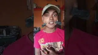 ASMR DUBAI'S CHOCOLATE ORIGINAL DUBBUL BUBBLE GUM (3 FRUIT FLAVORS) AND... Ep2 #funny​​​ #comedy