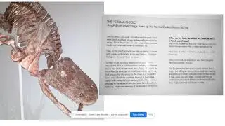 virtual field trip dino guided tour