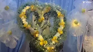 Rionegro videovlog navidad y año nuevo 