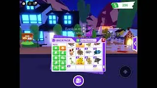 All my adorable adopt me pets :3 and my fav squirrel!