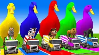 Long Slide Game With Cow Elephant Gorilla Hippopotamus Tiger 3d Animal Game Funny 3d Animals