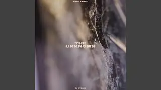 The Unknown