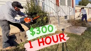 Winter Cash Flow: How to Book & Win Landscape Jobs in the Cold Season! #landscaping #lawncare