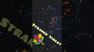 2.0.1 Strange Violet.  official Song