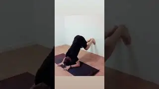 Wall assisted forearm stand practice for beginners #calisthenics #yoga #fitness #fitnessmotivation